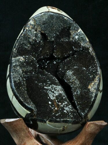 Septarian Dragon Egg Geode - Black Calcite Crystals #33978